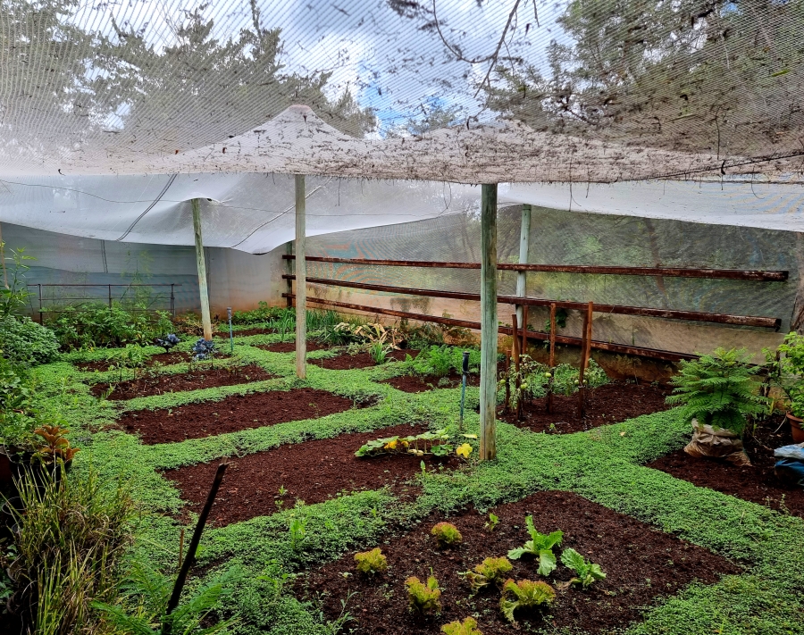 Commercial Property for Sale in Doornlaagte A H North West